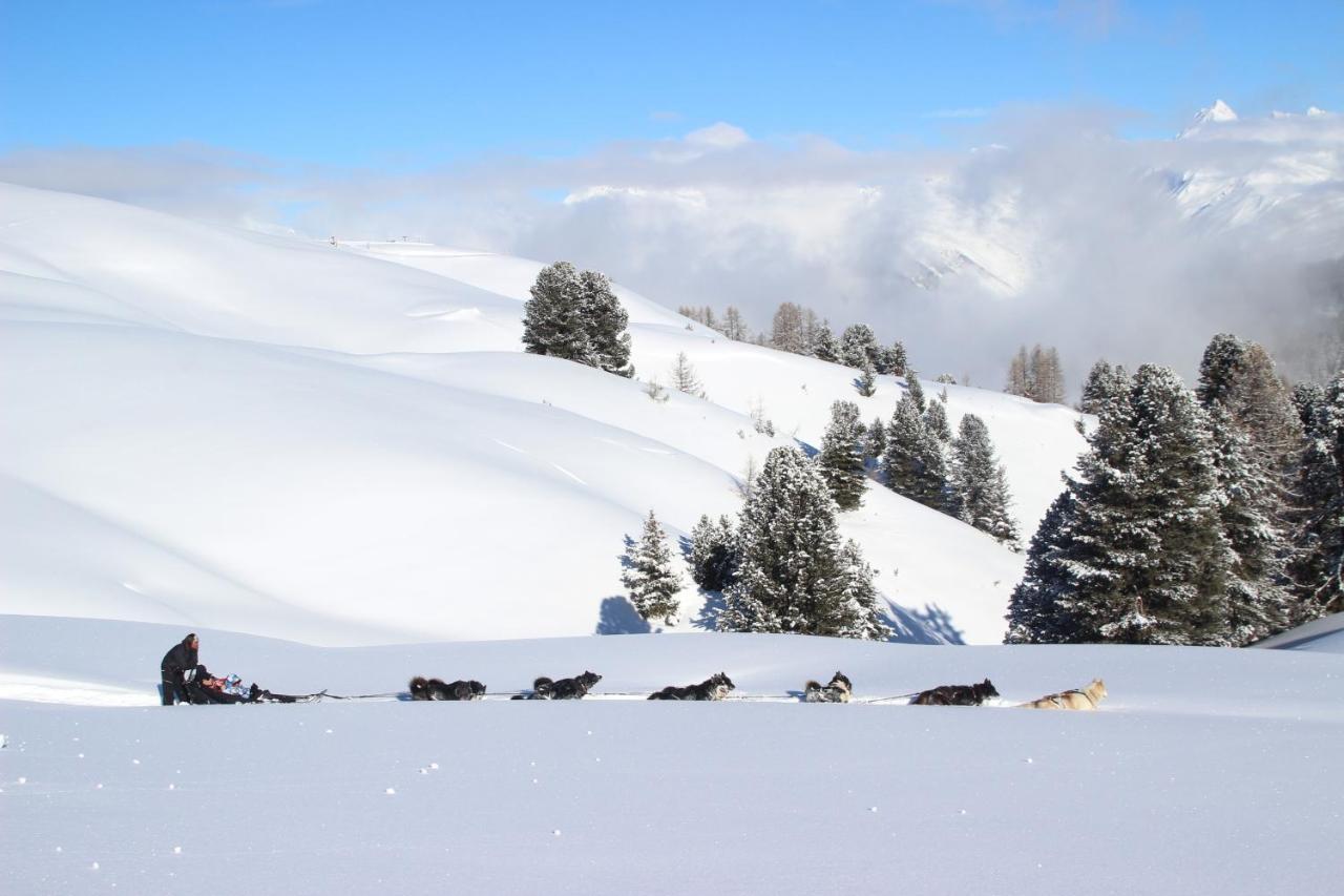 Chalet Bouquetin- Aigle Royal Apartment La Plagne Luaran gambar